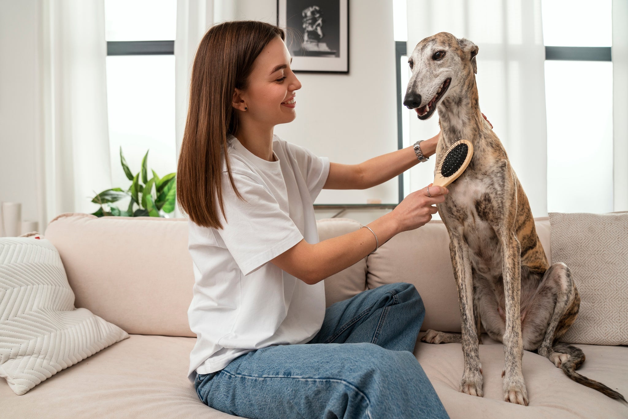 Woman brushing dog
